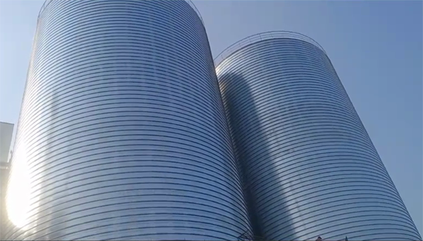 瑞安2座混凝土高架卷板仓